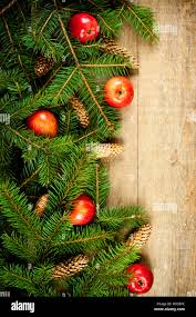 christmas fir tree with pinecones and ...