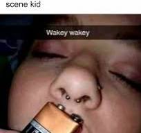 50 Random Memes That Have No Business Being This Funny